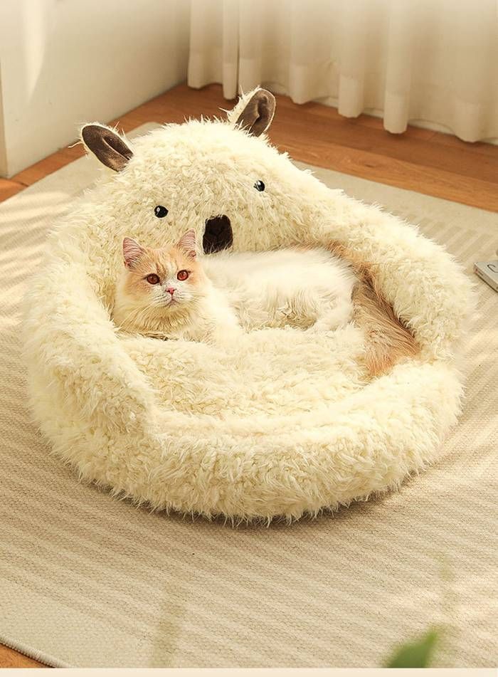 クッション ドーム型