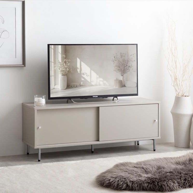 引き戸付 テレビ台 幅100cm テレビボード TV台 TVボード ローボード 姫系