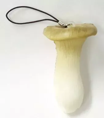 2025年最新】ネイチャーテクニカラーMONO キノコ ソフト