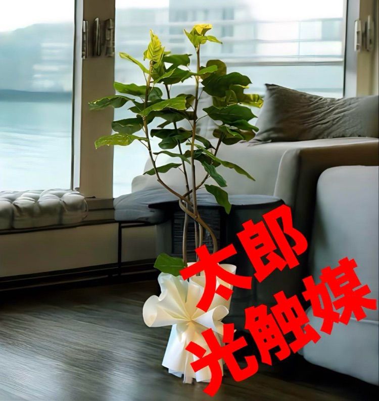 光触媒 人工観葉植物 ウォールグリーン フェイクグリーン ウンベラータ4本