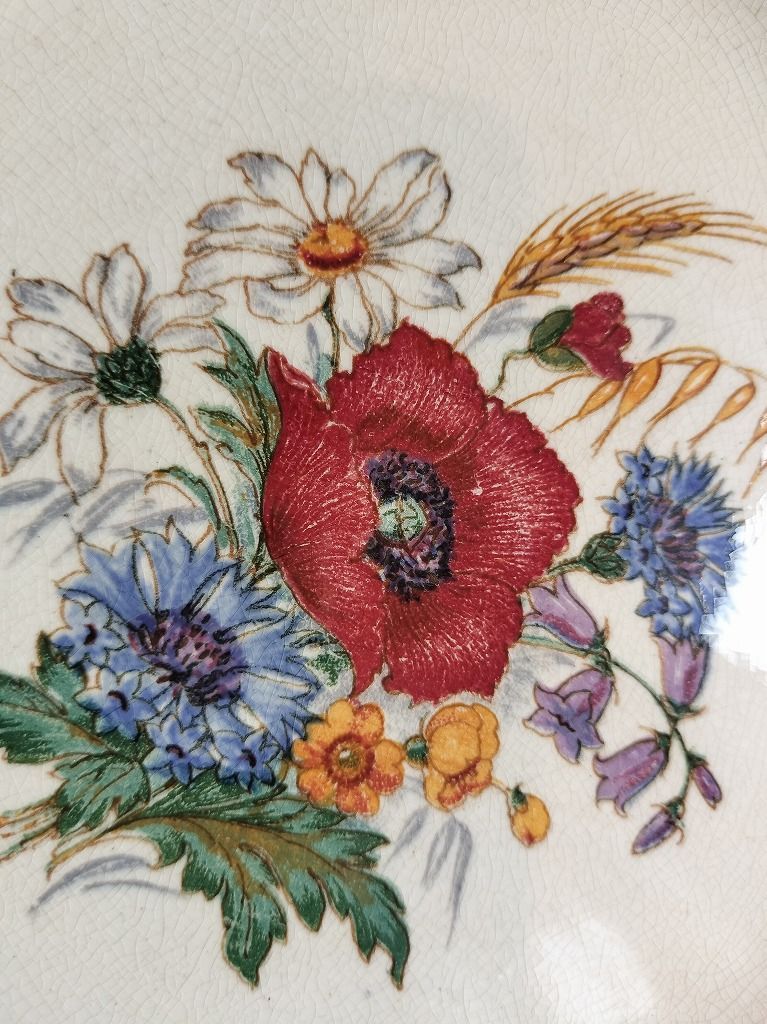 フランスアンティークプレート 花リム サルグミンヌ B】サルグミンヌ