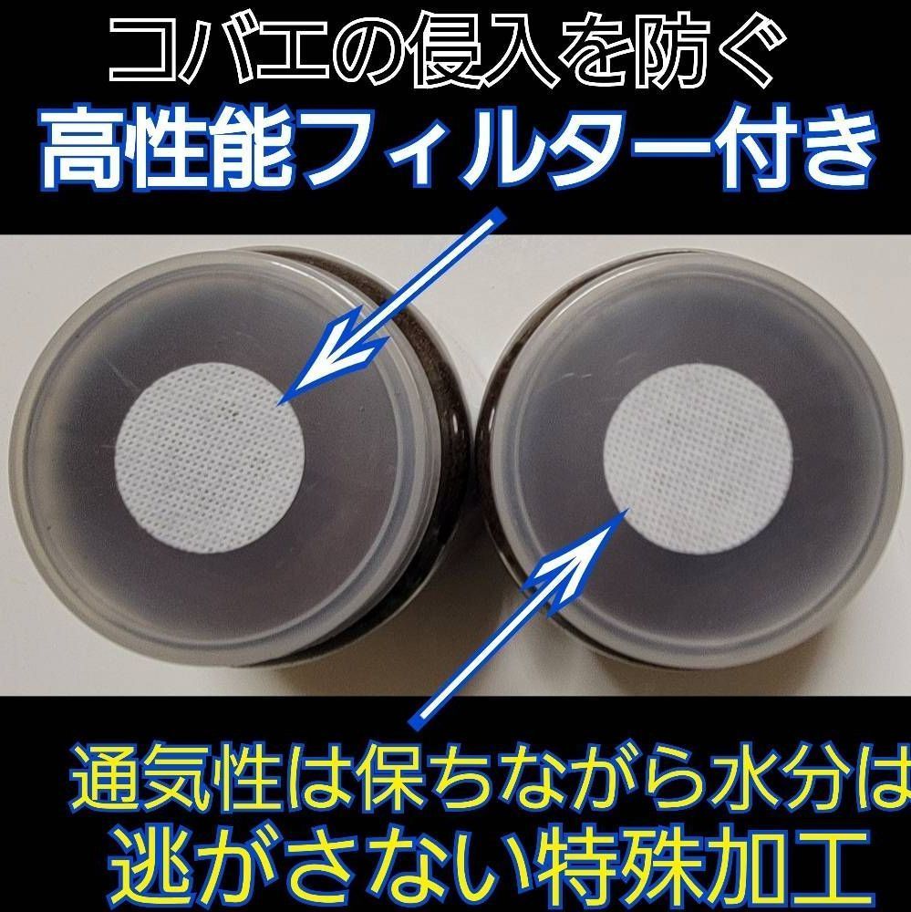 カワラタケ 極上品！ 菌糸瓶 8本トレハロース、キトサンなど栄養 極上