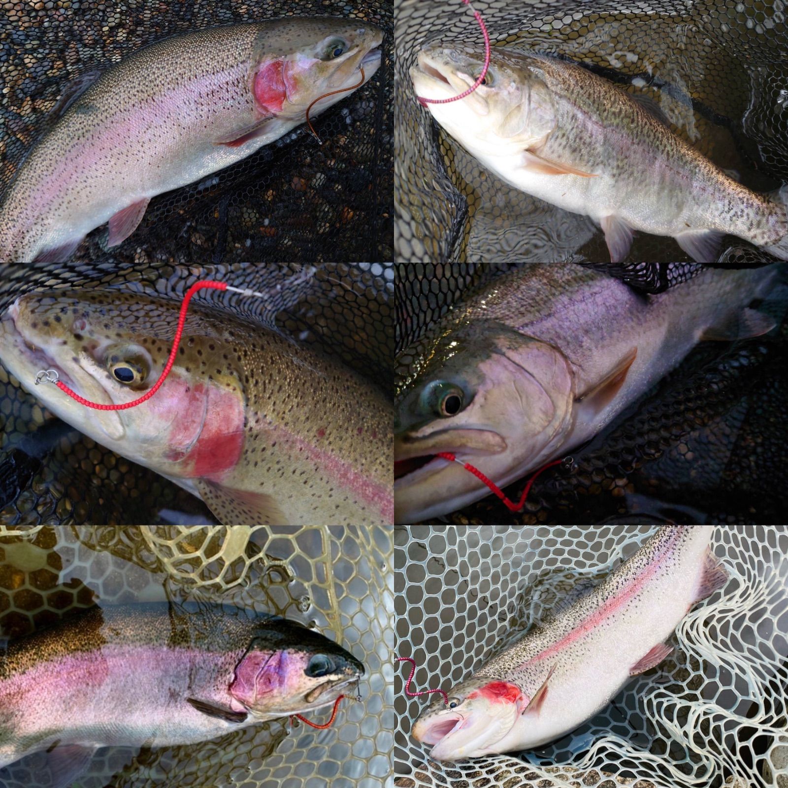 管釣り エリアトラウト【巻き直し不要】海鱒スパイラルルアー Hunter 管釣り エリアトラウト【巻き直し不要】海鱒スパイラルルアー Hunter