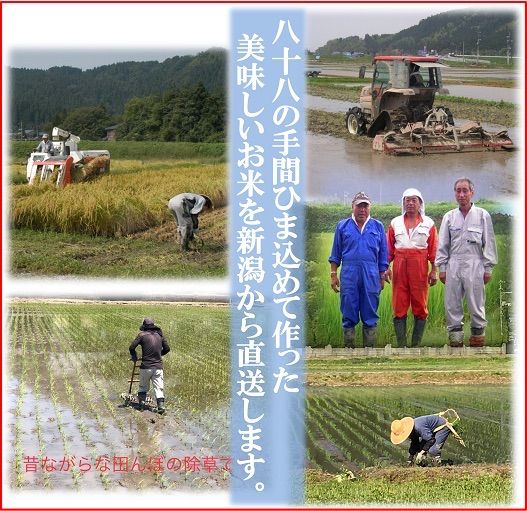 残り17袋 減農薬こしひかり玄米10kg+10kg 新潟県三条市下田村産　特栽米 残り17袋 減農薬 新潟こしひかり玄米30kg 新潟県三条市旧しただ