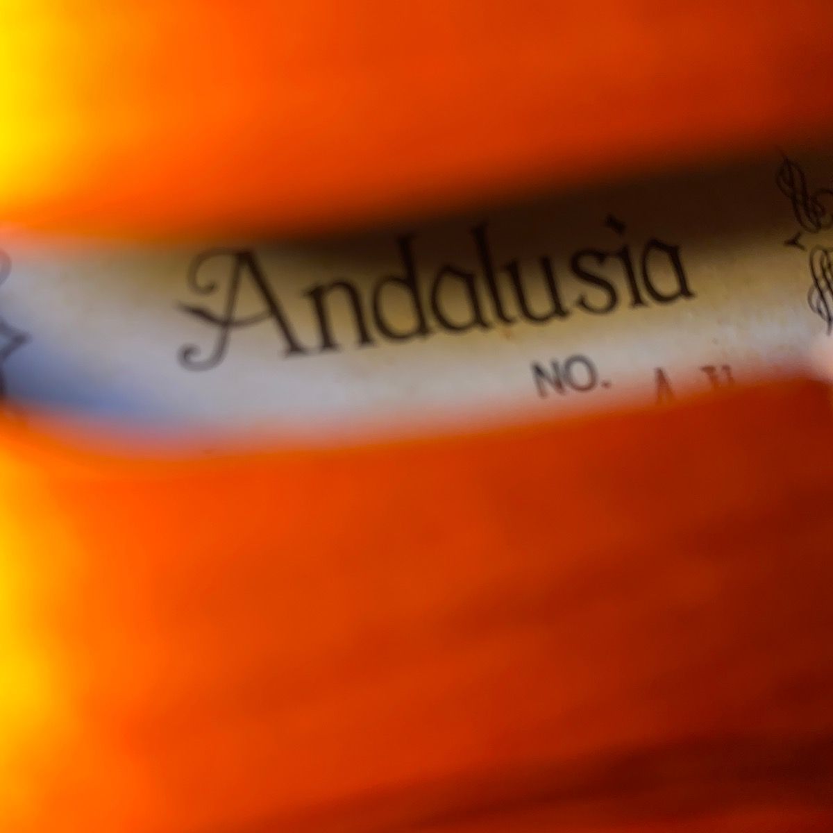 楽器・機材 Andalusia AV-80 String Instrument アンダルシア バイオリン