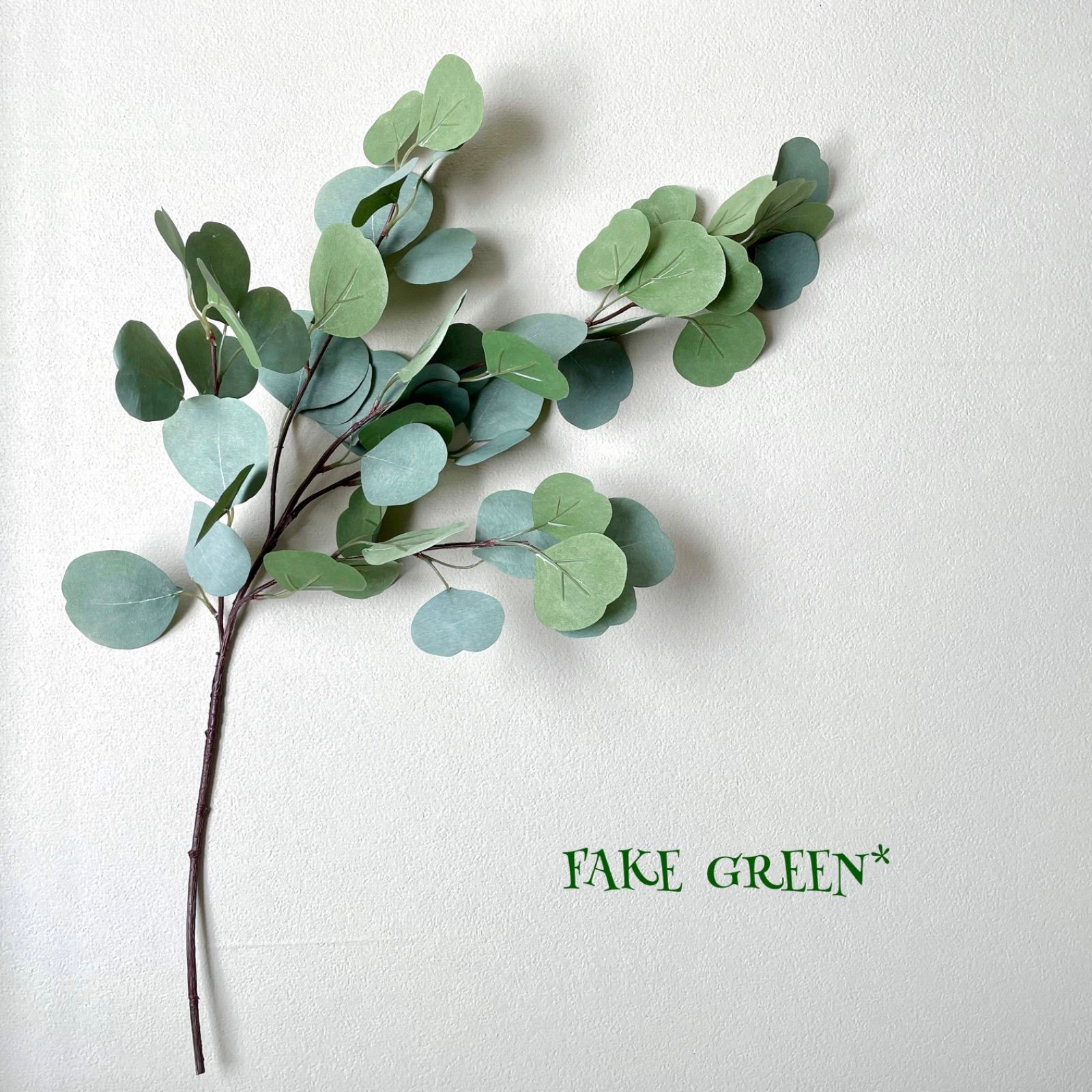 超特価sale開催 新品 未使用 フェイクグリーン ユーカリ ポポラス 1本 丸葉ユーカリ おしゃれ 植物 観葉植物 Www Anaru Com Br Www Anaru Com Br 超特価sale開催 新品 未使用 フェイクグリーン ユーカリ ポポラス 1本 丸葉ユーカリ おしゃれ 植物 観葉植物 Www Anaru Com Br Www Anaru Com Br