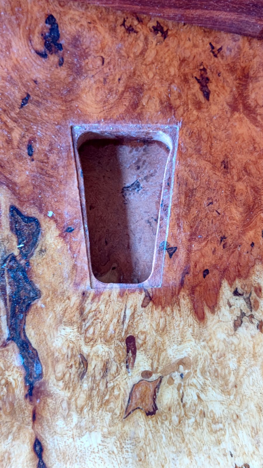 花梨 天然 木材 一枚板 銘木 希少 葡萄杢 瘤杢 座卓 花台 花