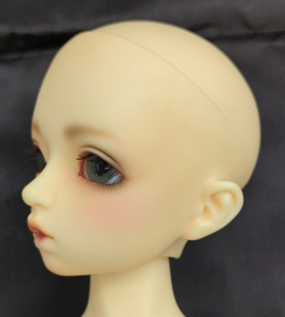 スタンダードモデル ダイ