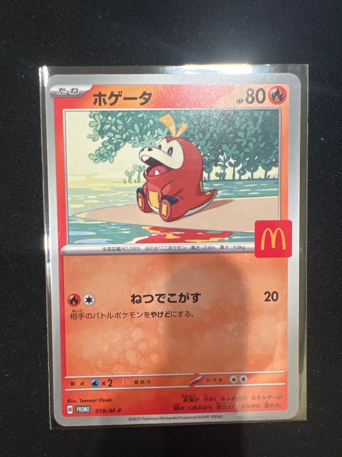 ポケモンカード ホゲータ マクドナルド マック プロモ