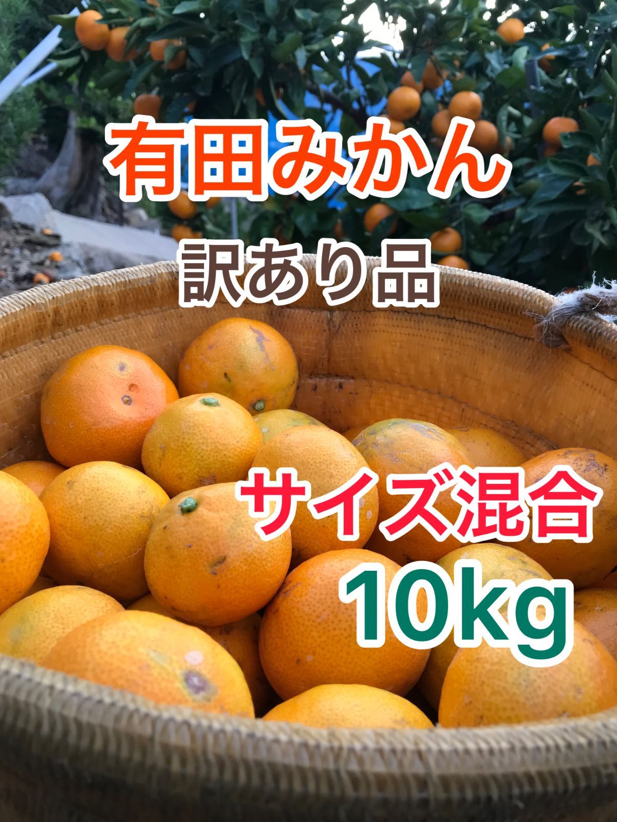 超目玉 有田みかん 訳あり 訳あり 極早生有田みかん 有田みかん