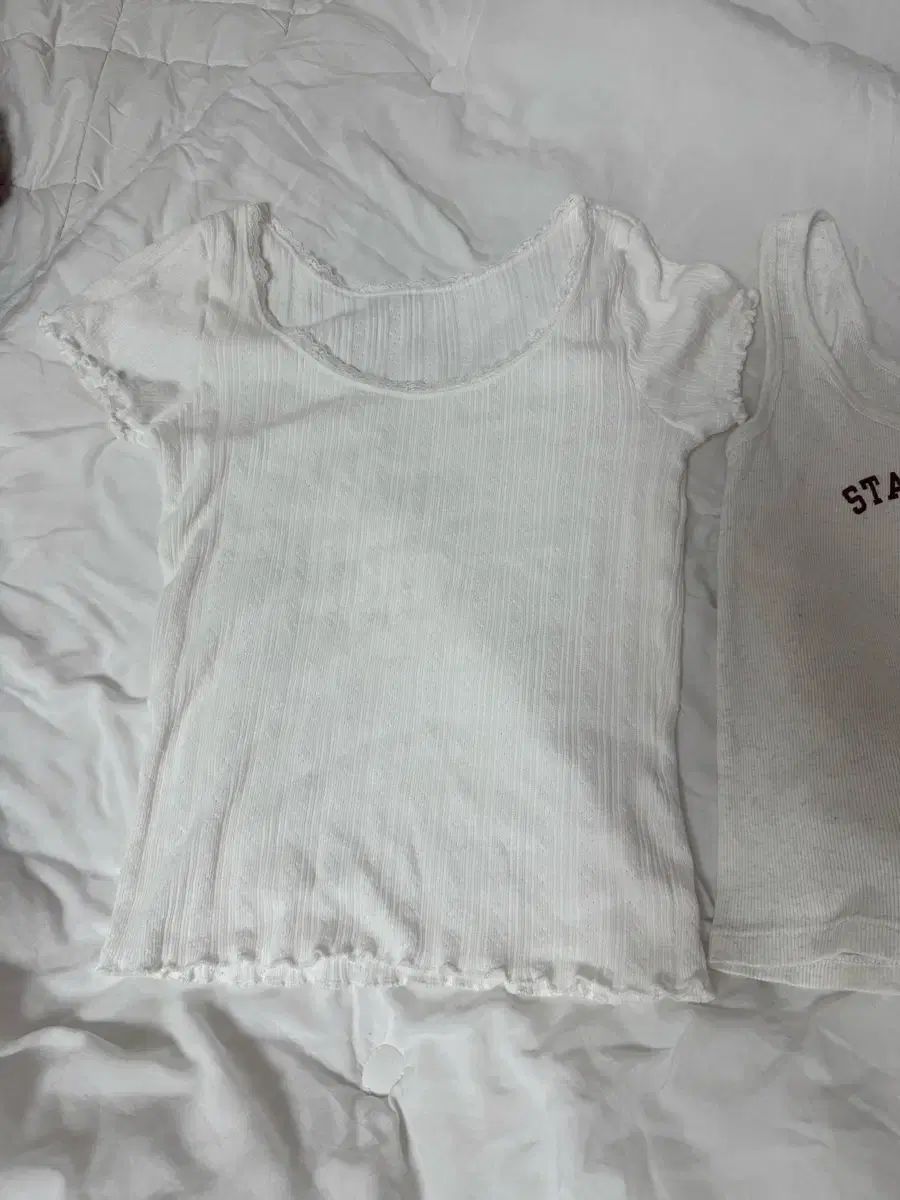  3 set Brandy Melville ブランディー メルビル トップス 半袖(Tシャツ) Tシャツ カットソー