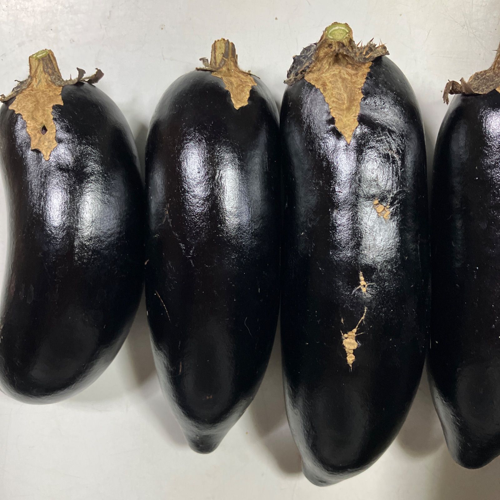 なすさん専用 ☆訳あり 規格外☆朝どり 茄子 なす 20本 60サイズ - メルカリ