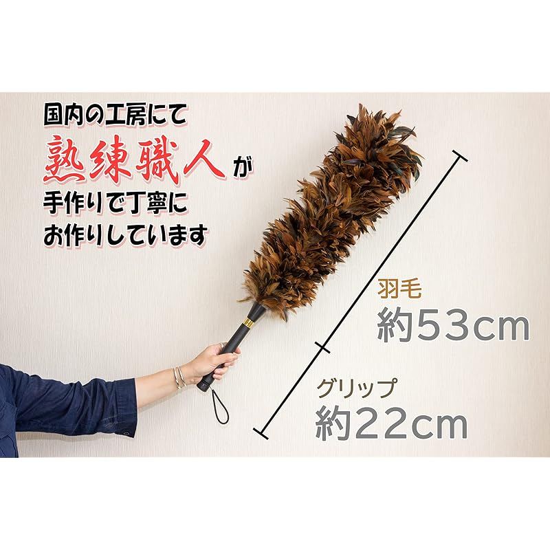 鶏毛
