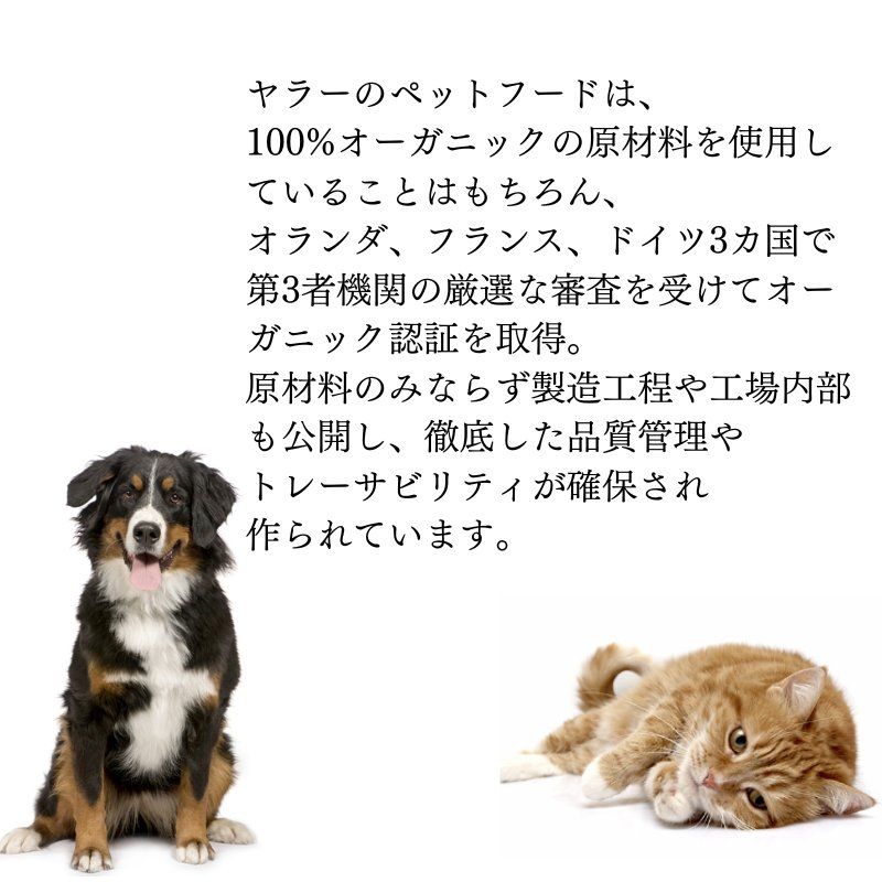 ヤラー