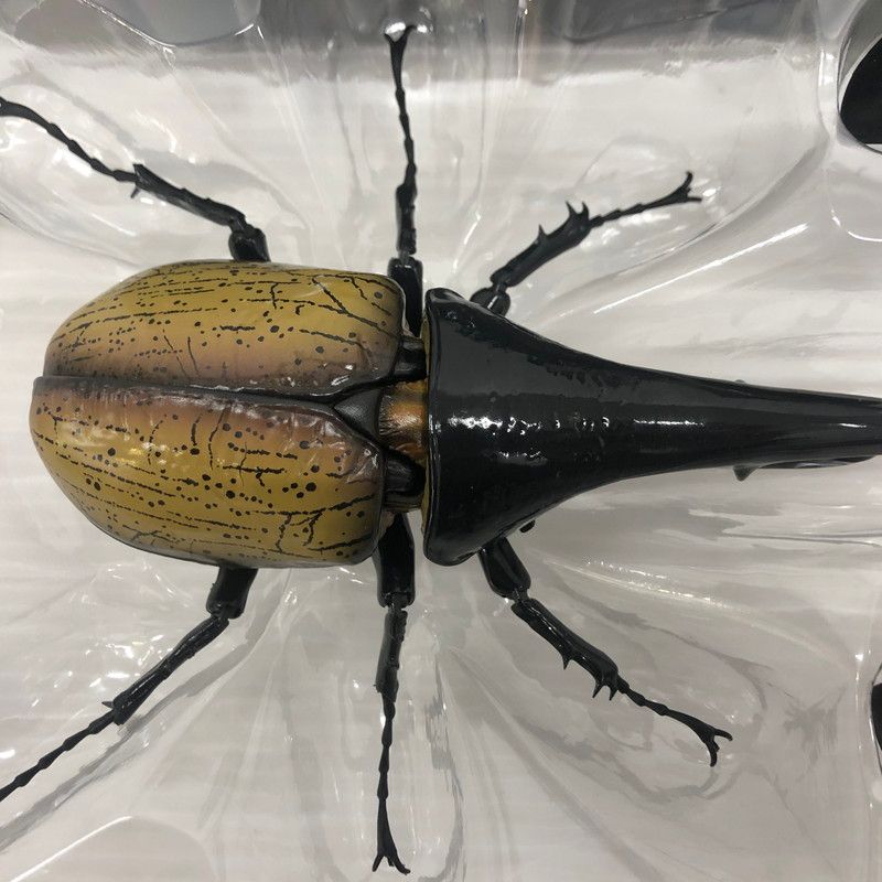 いきもの大図鑑 プレミアム