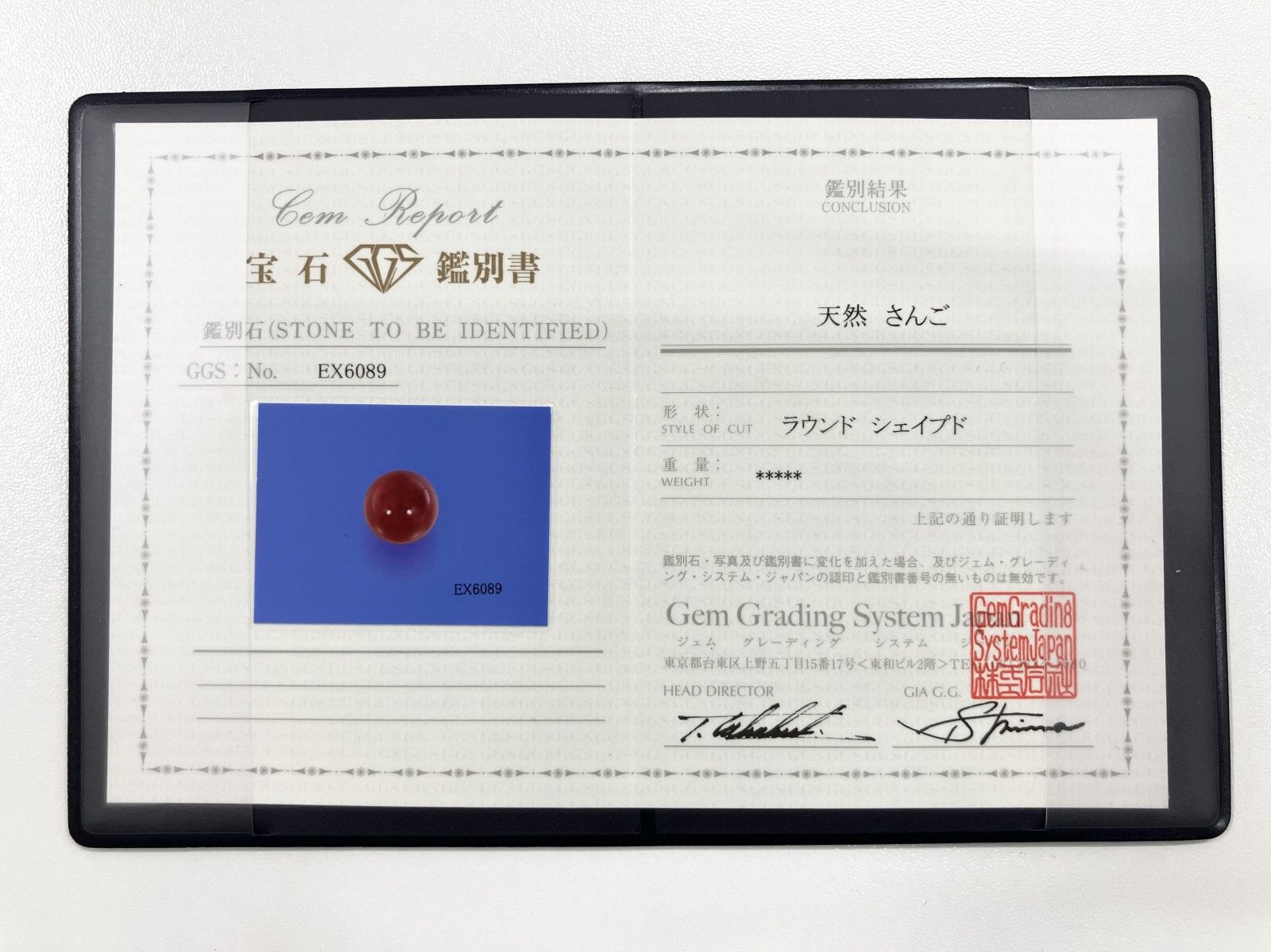 (☆-☆)さんご確認用 宝石鑑別書付き 天然 赤珊瑚 （ 珊瑚 サンゴ さんご ） 14.0