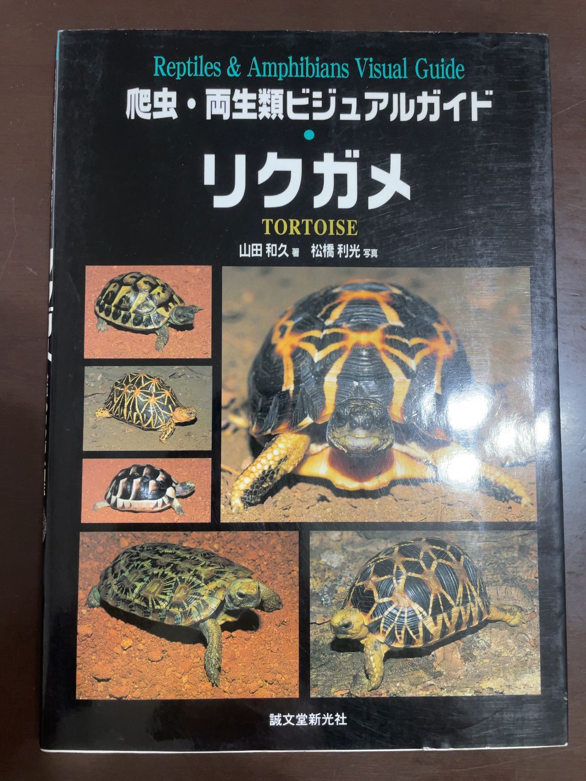 爬虫類ビジュアルガイド　リクガメ : 世界のリクガメ図鑑 リクガメ: 世界のリクガメ図鑑 (爬虫・両生類ビジュアルガイド
