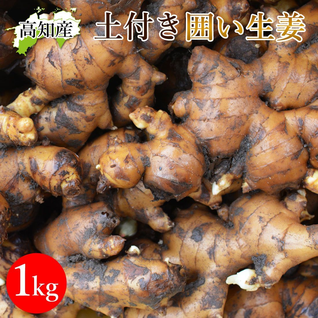 高知産　土付き囲い生姜　４Kg　北海道沖縄発送不可 楽天市場】【送料無料】【日にち指定不可】高知産囲い生姜4Kg