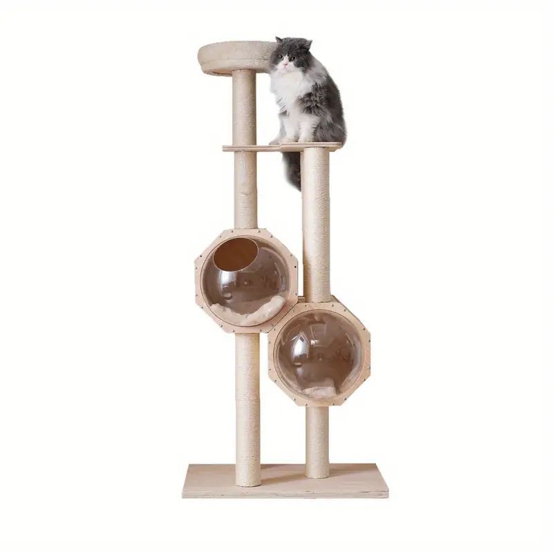猫の巣