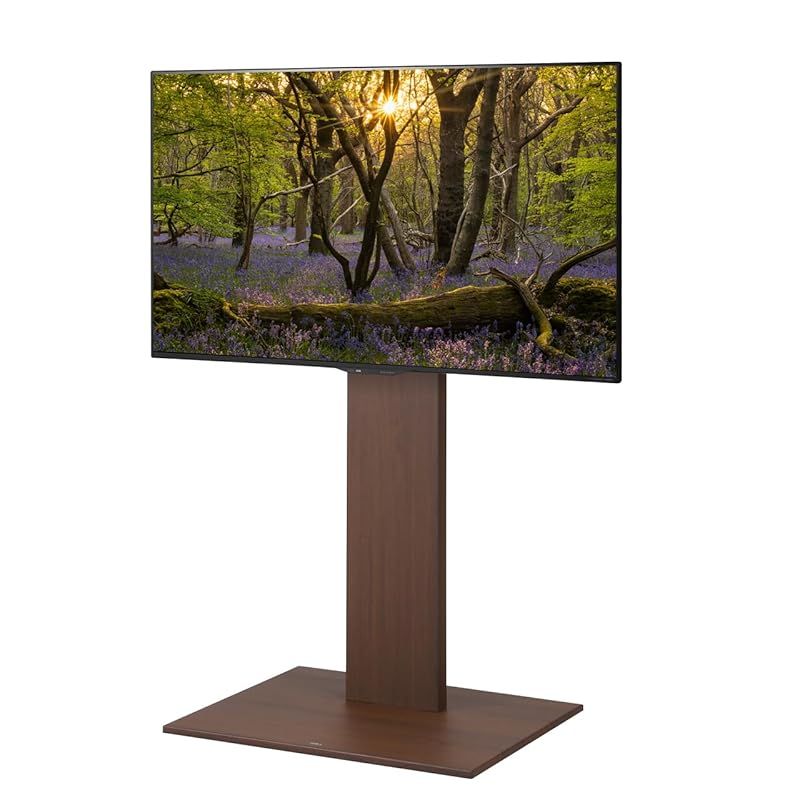 EQUALS イコールズ テレビ台 壁寄せテレビスタンド WALL V3