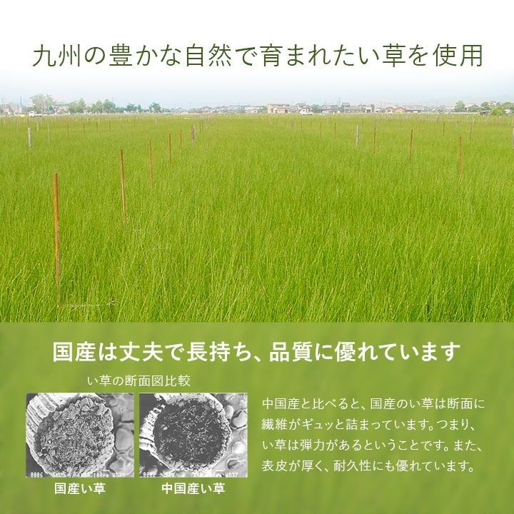 あぐら 約82×82cm