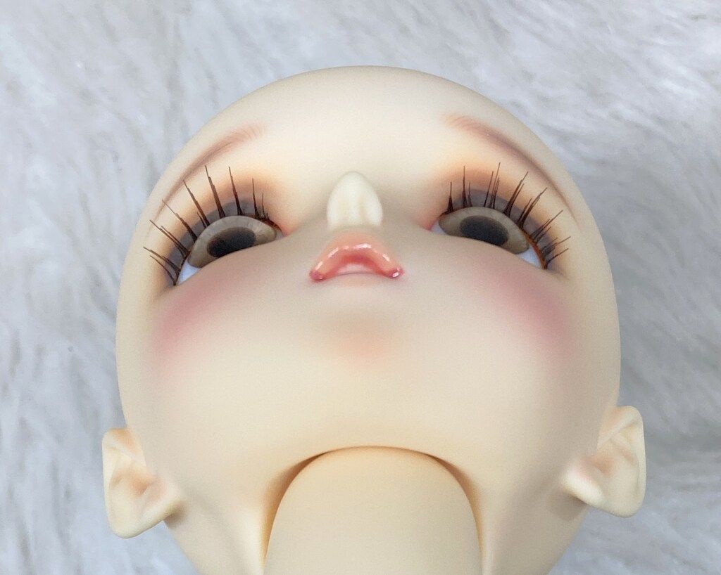 SD17 アラン 1st ヘッド