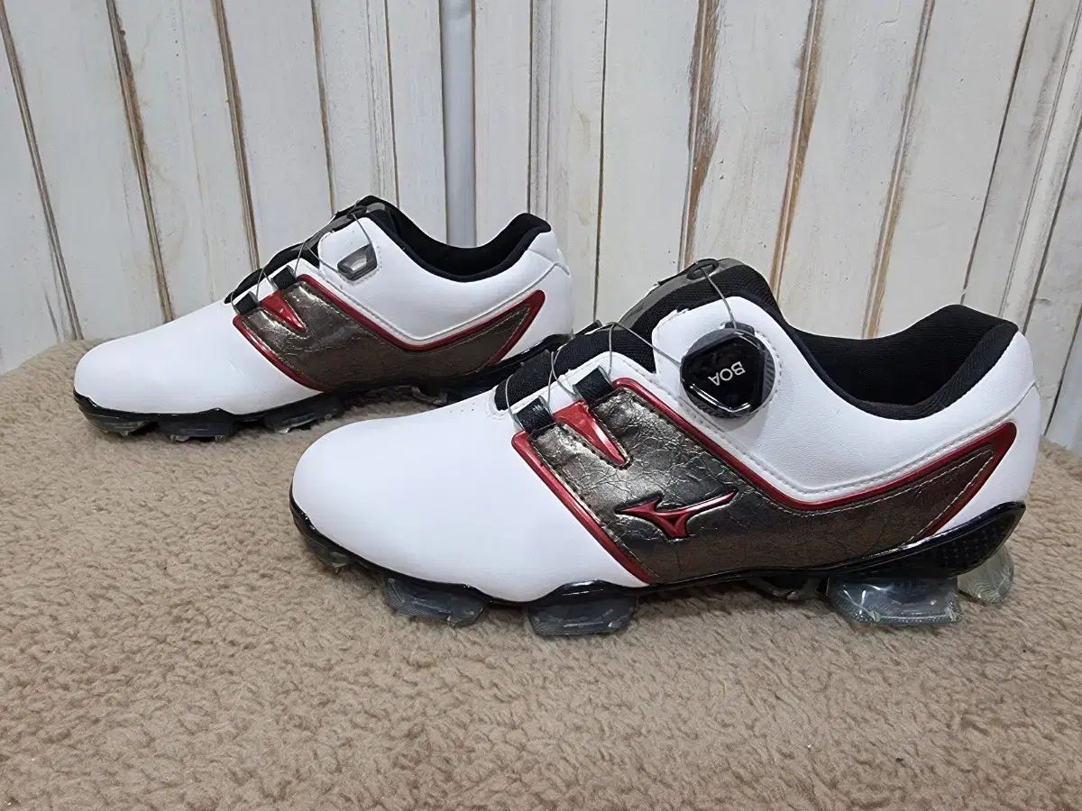 新品続々入荷中人気商品！ ミズノ ヴァルチャー 004 ボア メンズ ゴルフシューズ C673 鮮明な