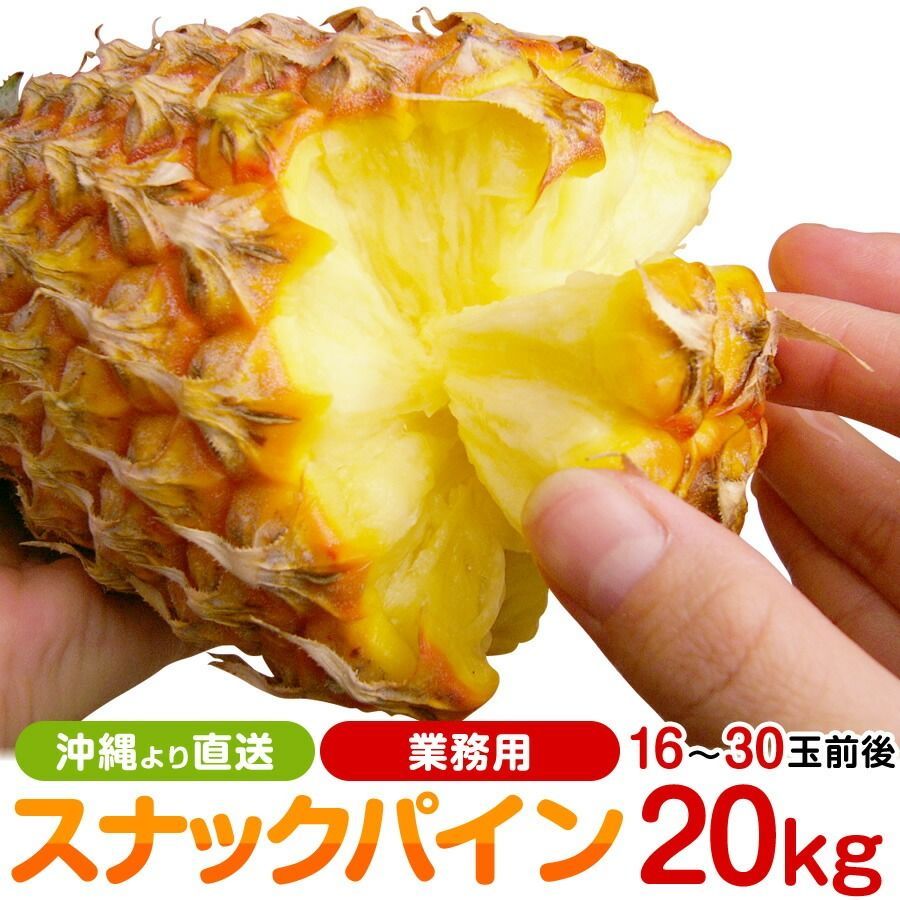 スナックパイン 沖縄産パイナップル 約20.0kg 安心保証付 6月～7月頃発送予定