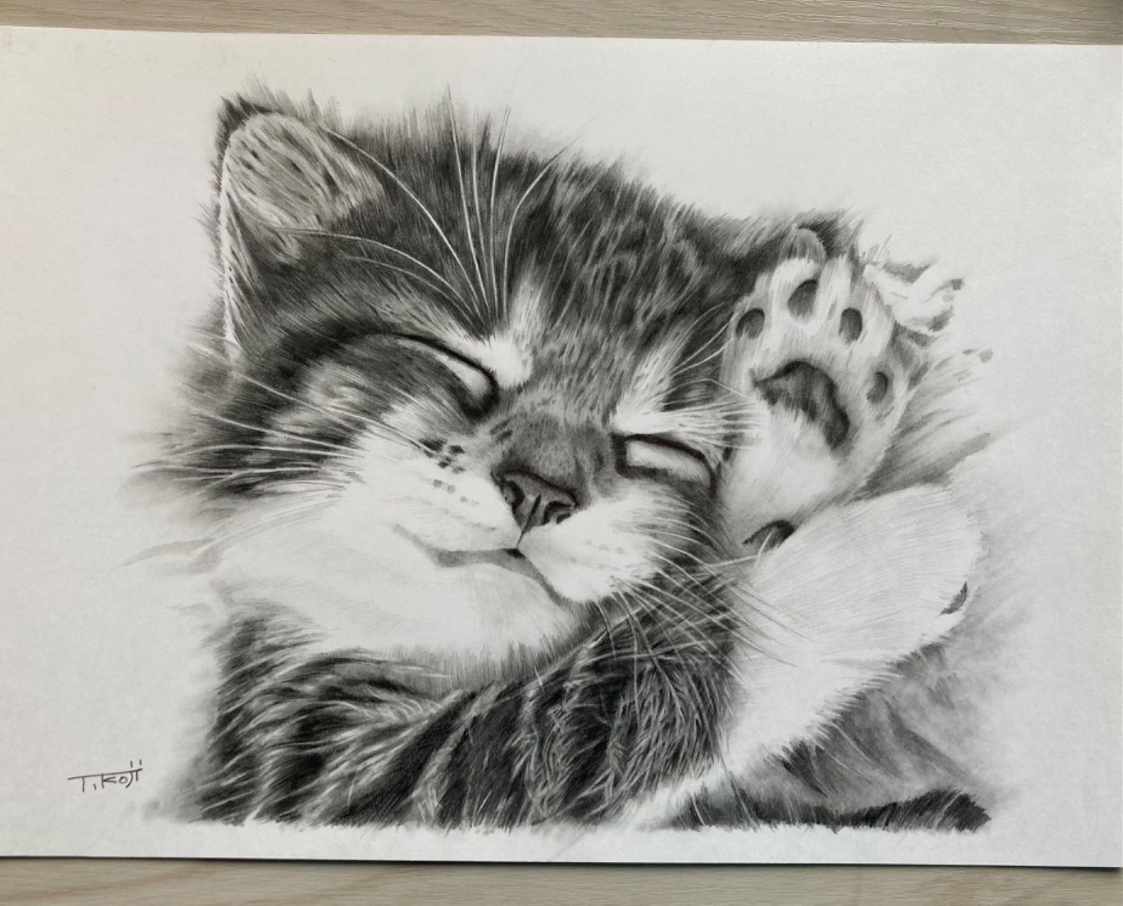 美しい猫❤️ 猫 ネコ ねこ 原画 鉛筆画 絵画 手描き イラスト 2L 