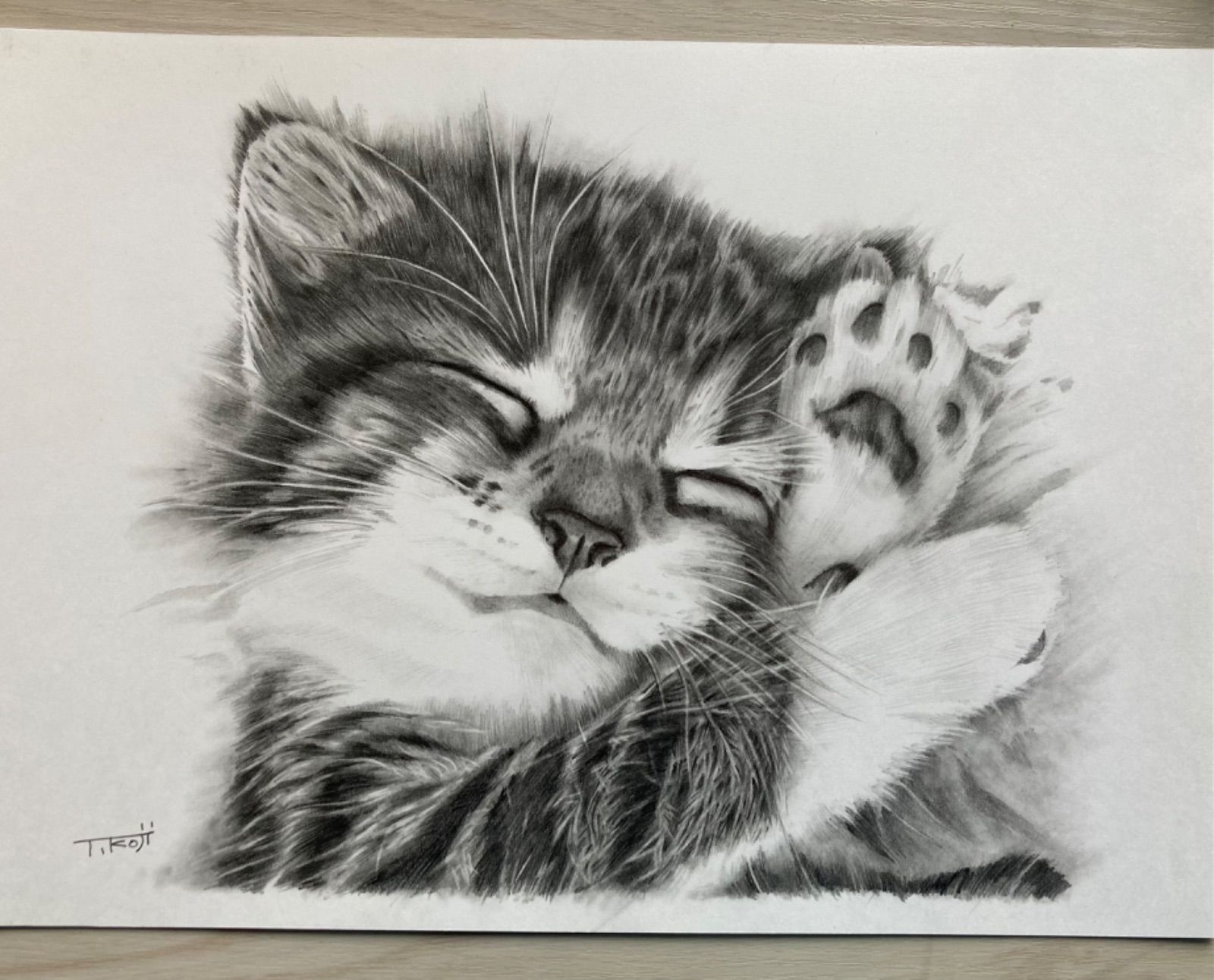 猫の鉛筆画 オーダー絵画