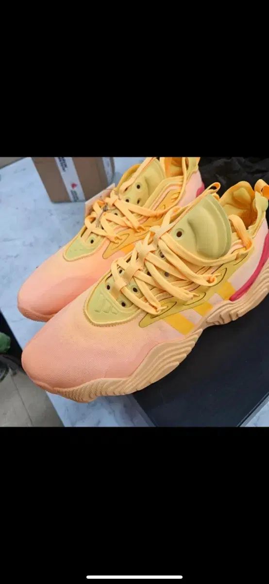 アディダス バスケシューズ トレ영3 260