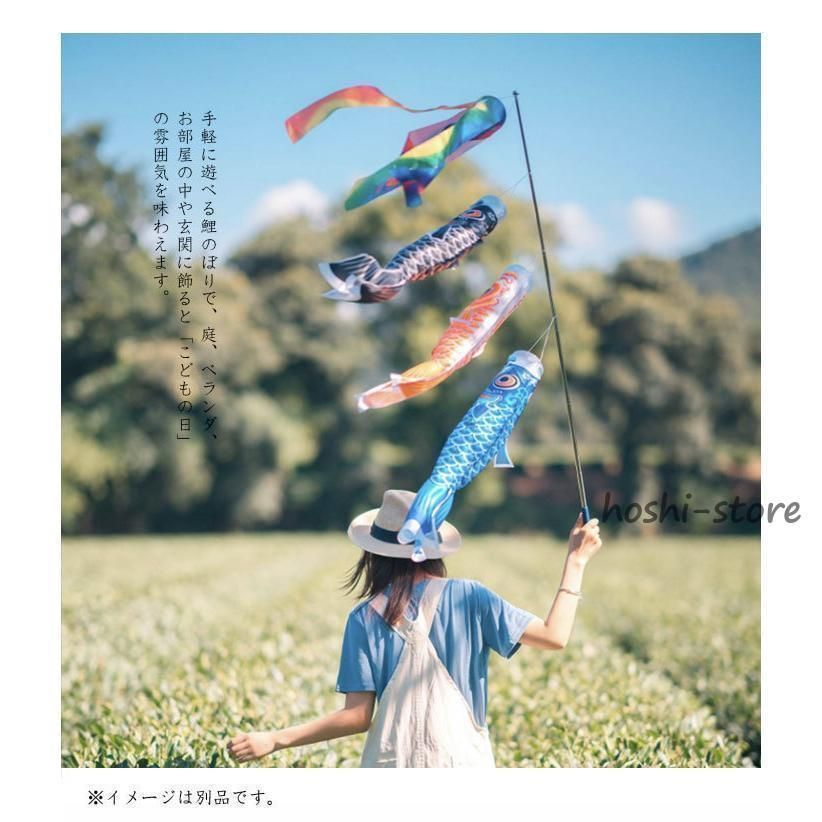 金箔鯉 真鯉