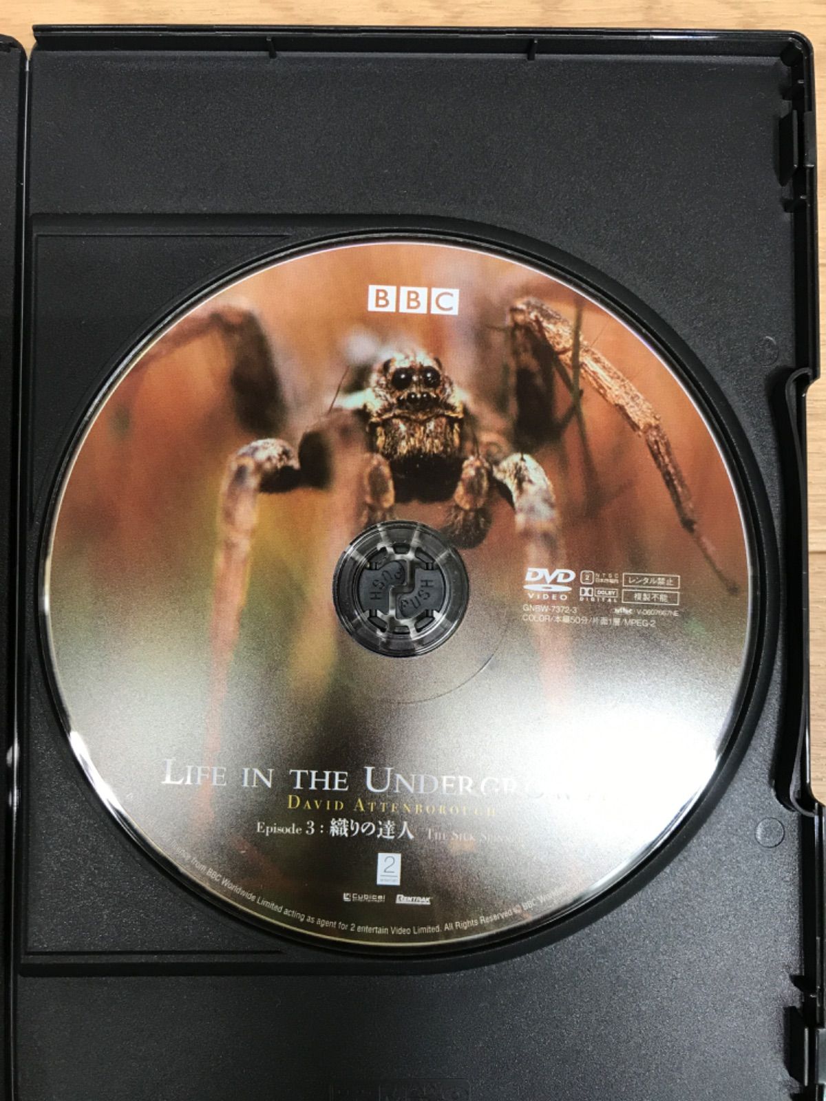 昆虫の世界 DVD-BOX