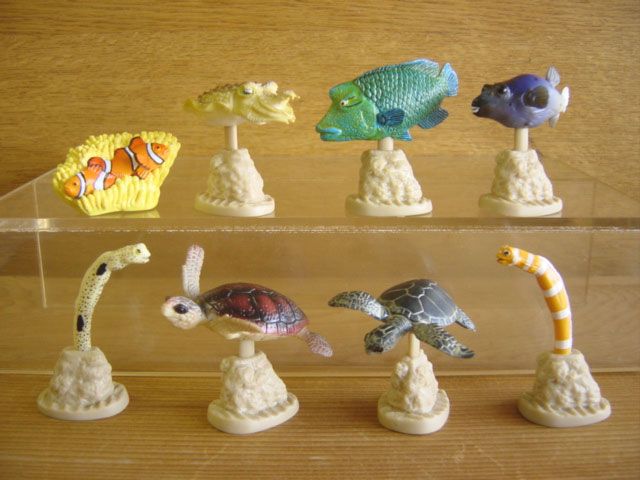 ♯Gpi22DI 地球生命紀行 ウミガメ ＆ さんご礁 を彩る生き物 全8