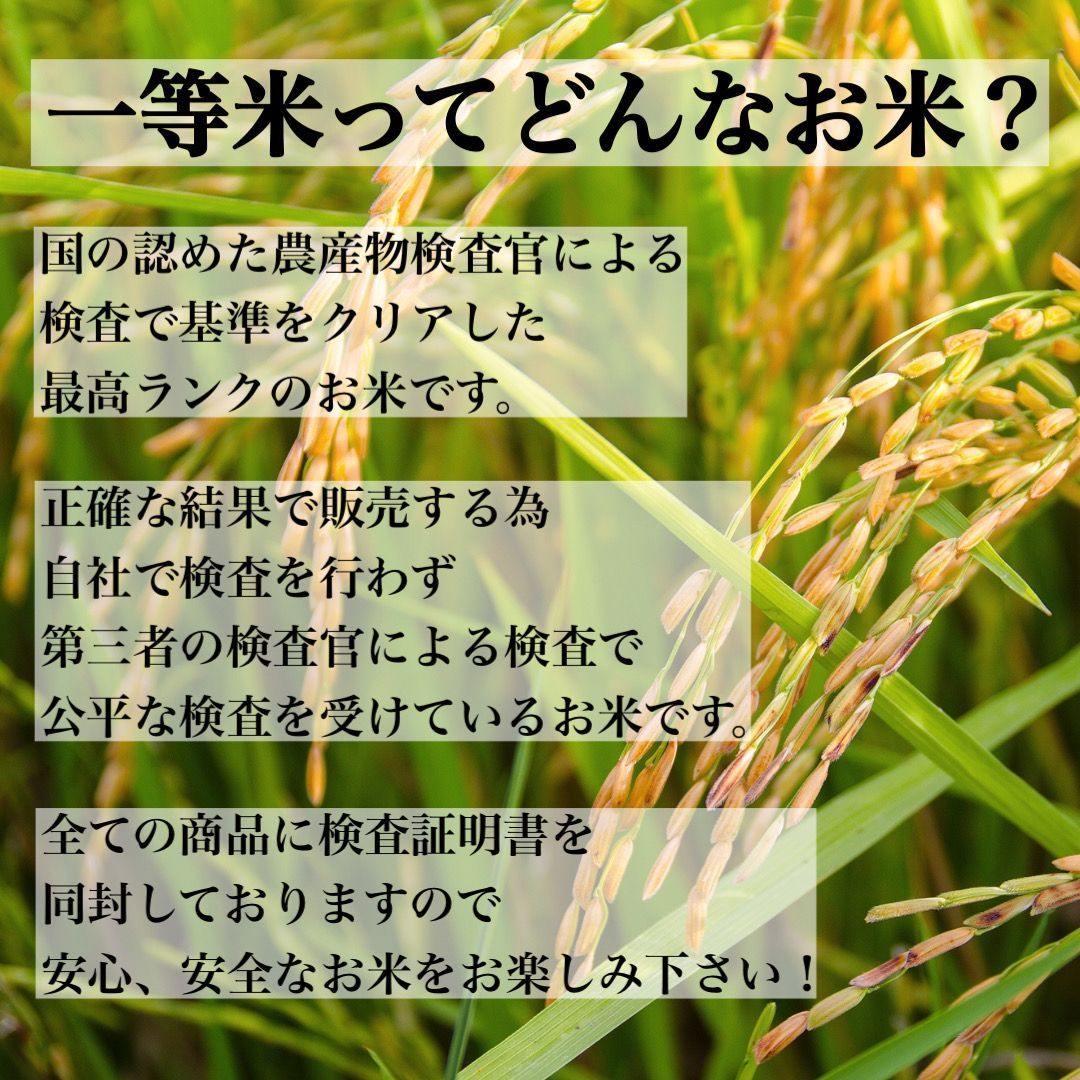 白米 20kg 彩のきずな 新米 埼玉県産 令和5年産 送料無料 米 20キロ