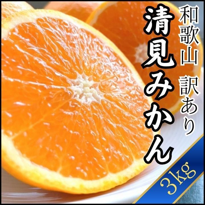 清見みかん 3kg 和歌山県産 清見オレンジ 旬の果物