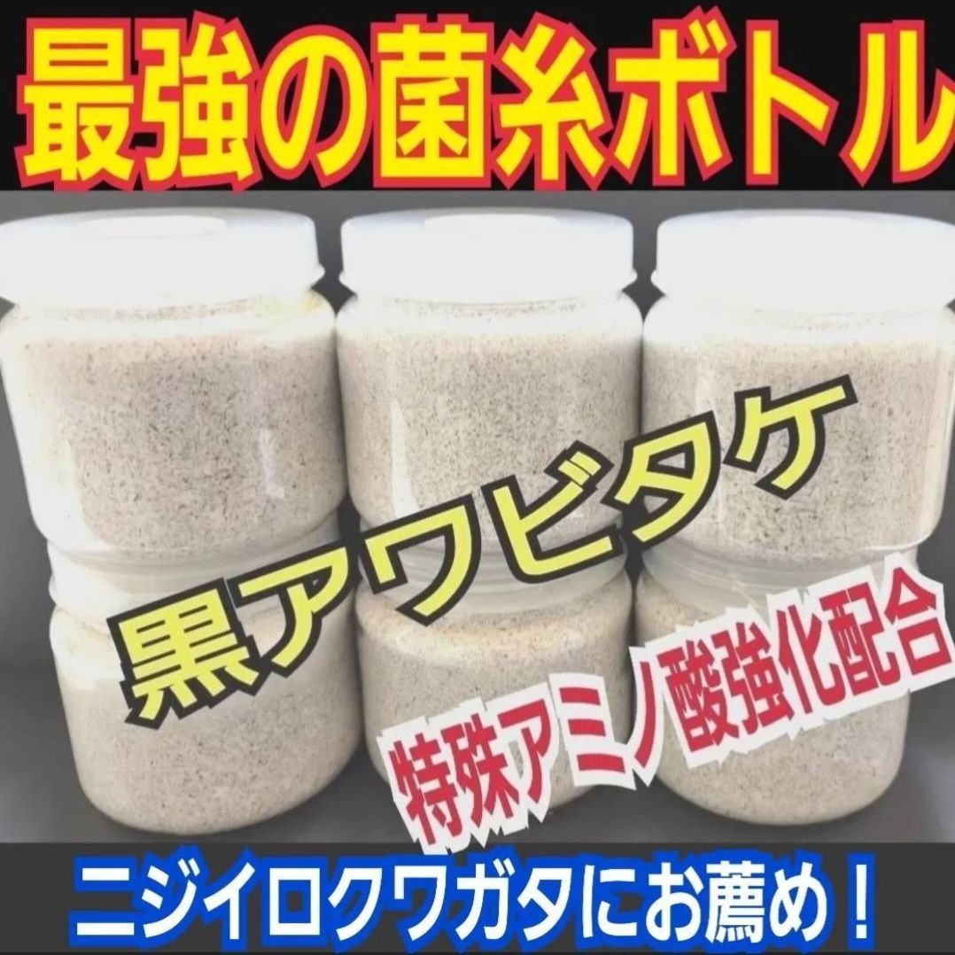 最強の菌糸ボトル【黒アワビタケ】4本セット☆オオクワ、ヒラタ、ニジイロに抜群！