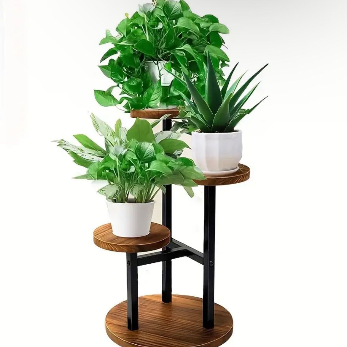 植物スタンド