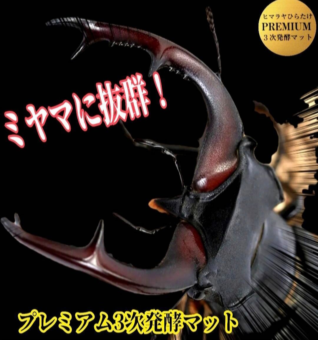 特大サイズ1500mlクリアボトル入り プレミアム3次発酵マット【2本