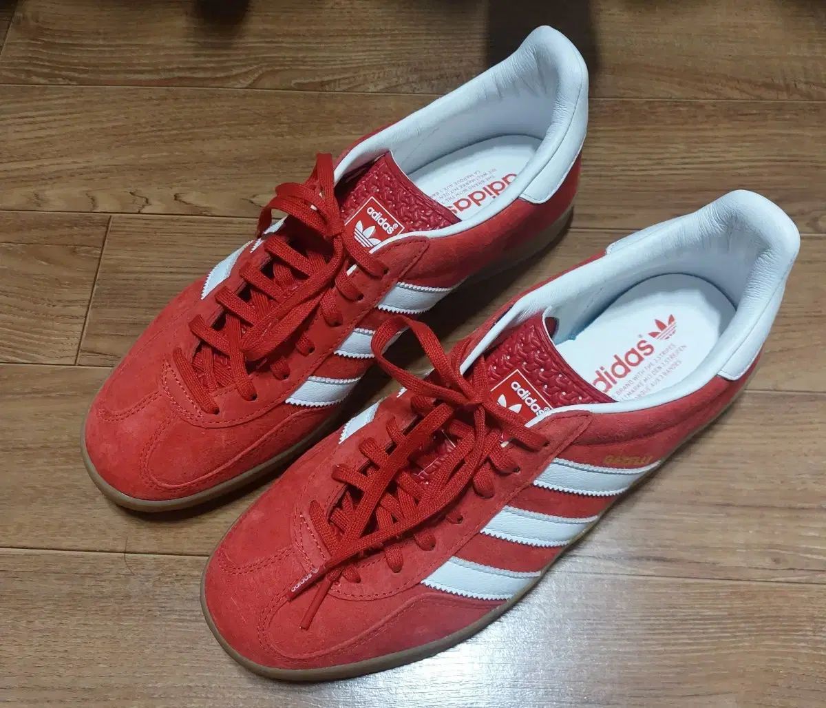 265 ガゼル インドア スカーレット