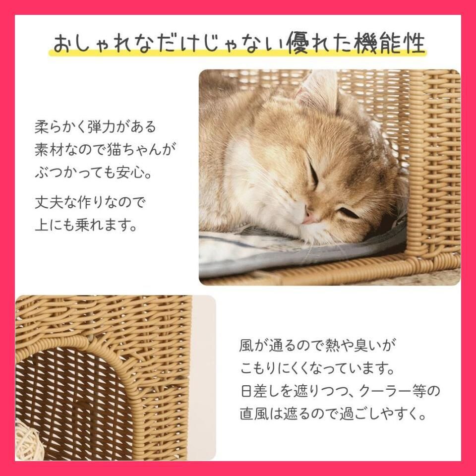 おしゃれ