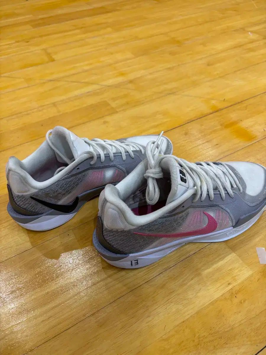 NIKE ナイキ サブリナ 2 m9 5 275 バスケットシューズ