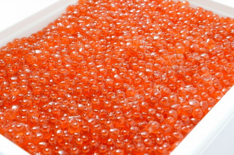 500g＆お刺身トロサーモン300gの大盛りセット 銀座の寿司屋も使用の