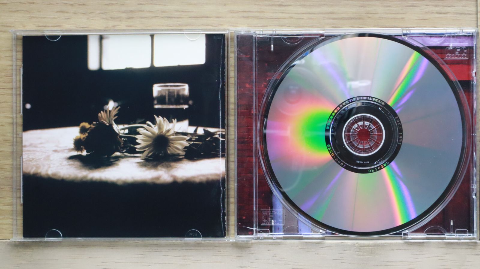 邦楽 kurage cd 🪼🎶 KURAGE Band（クラゲバンド）1st Album 🎶🪼 ㅤ CD『わたし