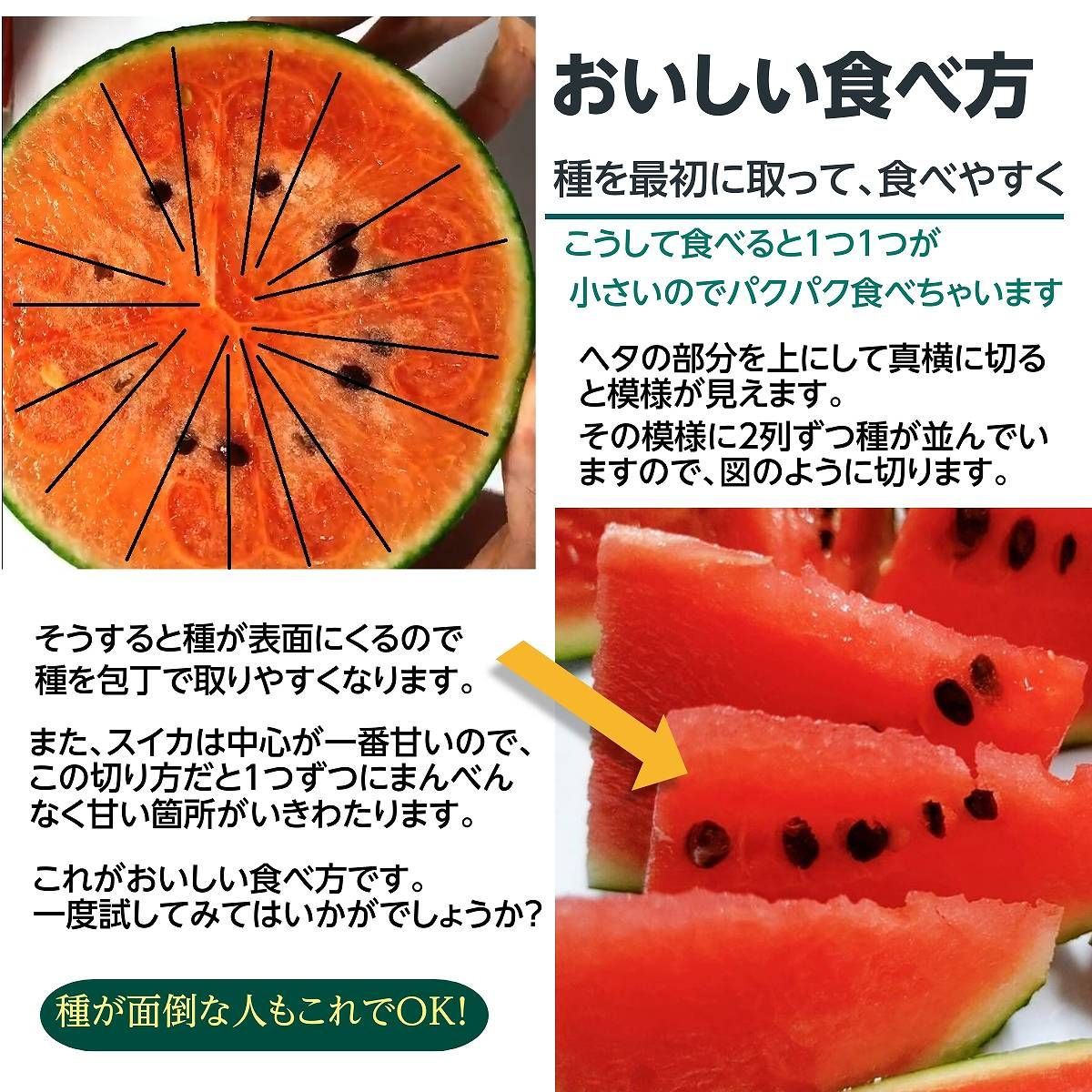 5|6～5|中旬より出荷