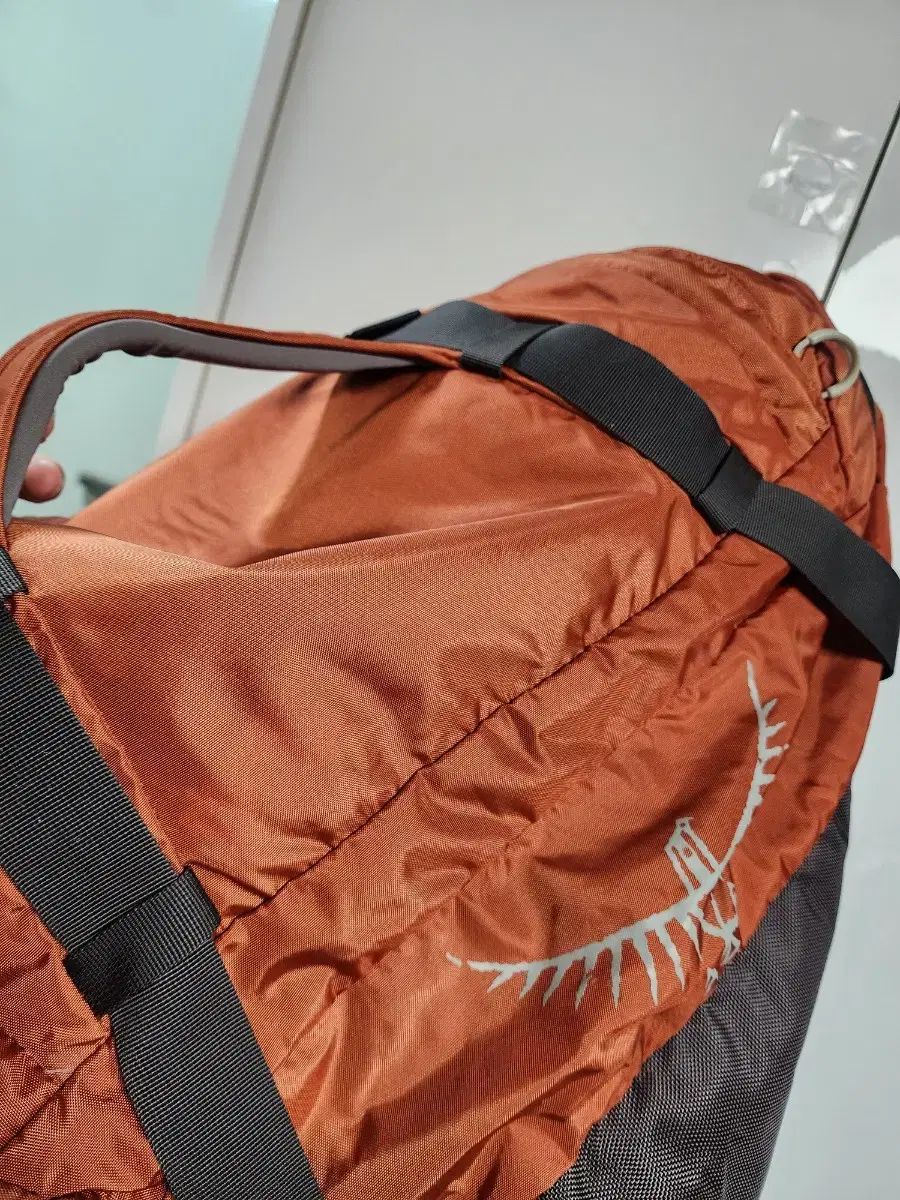 トランスポーター 75