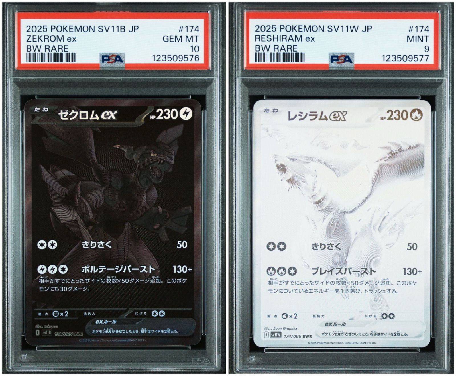 PSA9,PSA10】 2連番 ゼクロムex レシラムex BWR ブラックボルト