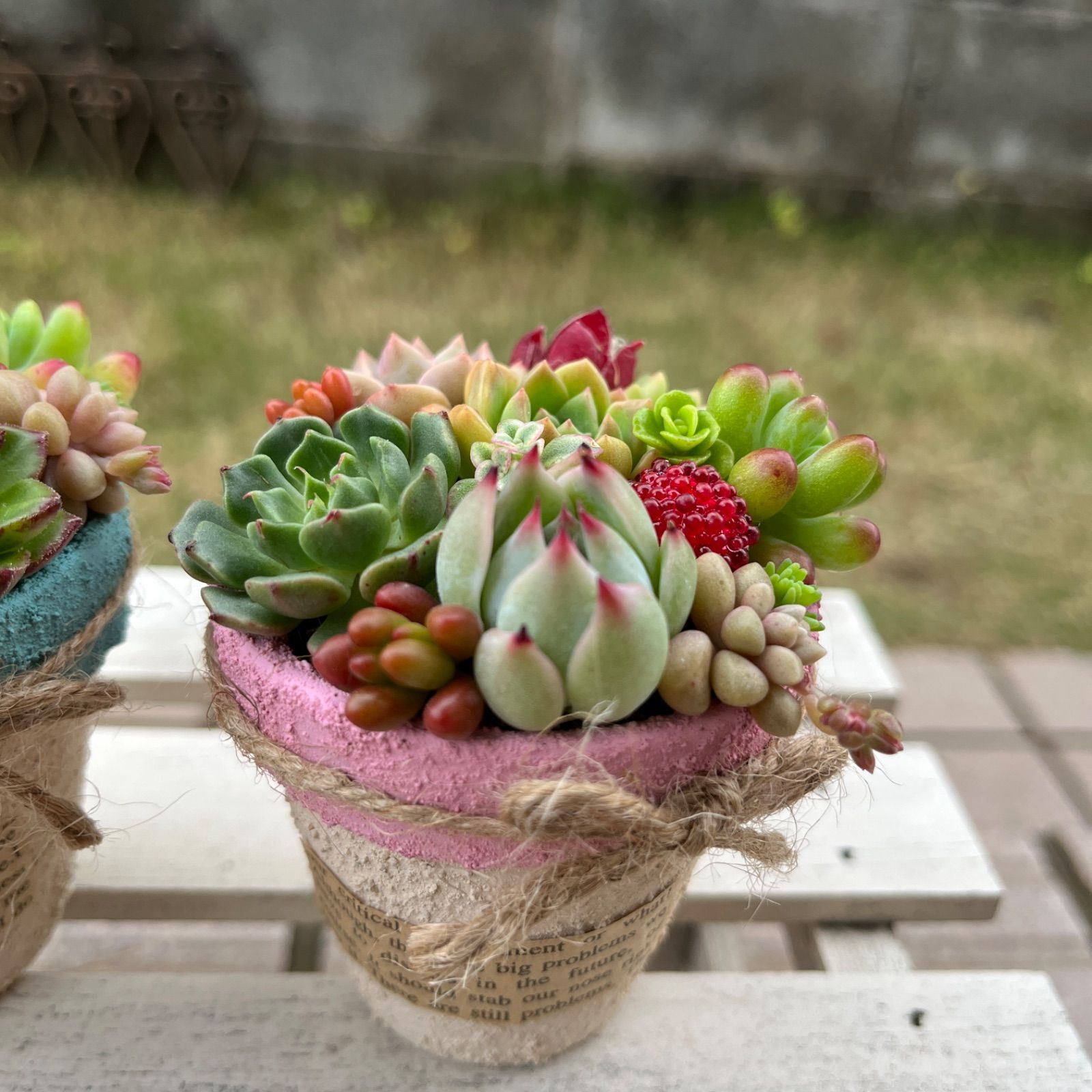 ハンドメイド多肉植物の寄せ植え♡そのまま飾れる♡2個セット