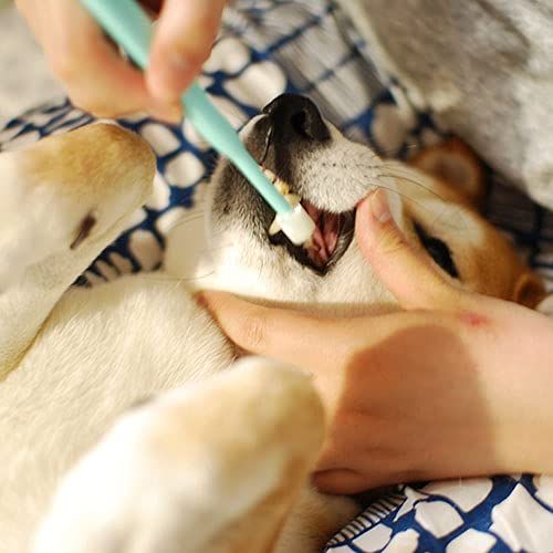 のサムネイル