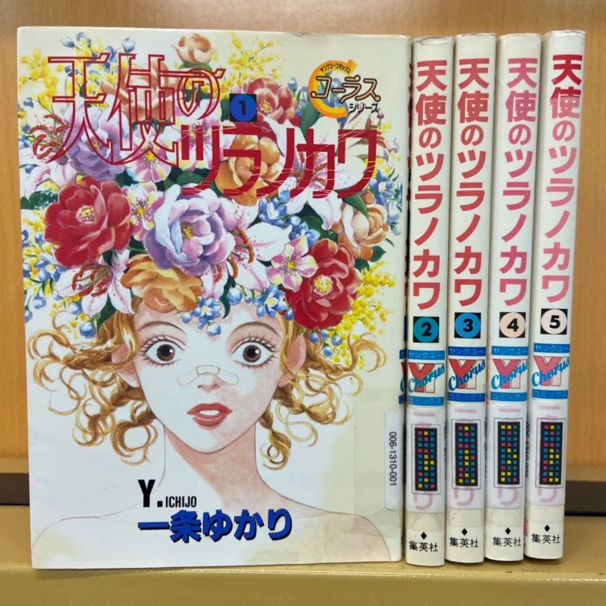 正しい恋愛のススメ 全巻 1-5巻 一条 ゆかり 【66%OFF!】 - 少女漫画